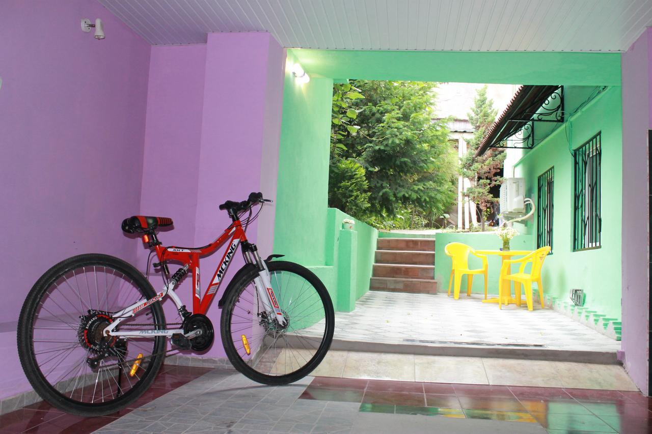 Salomes Apartment Tuti Bordjomi Extérieur photo