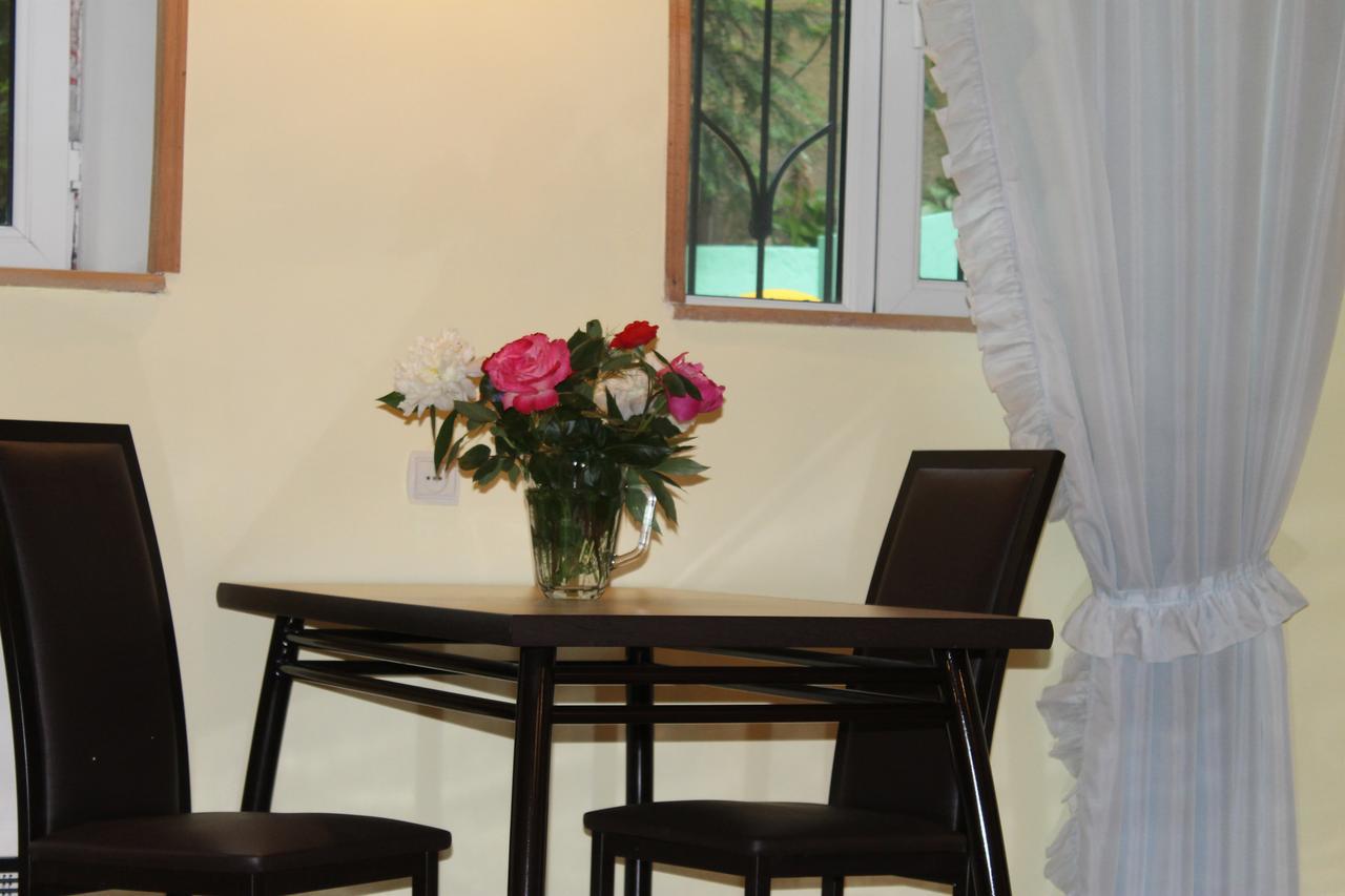 Salomes Apartment Tuti Bordjomi Extérieur photo